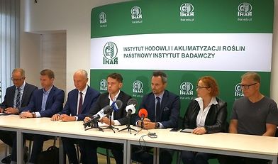 kołodziejczak, ziemniaki, sadzeniaki, ihar-pib