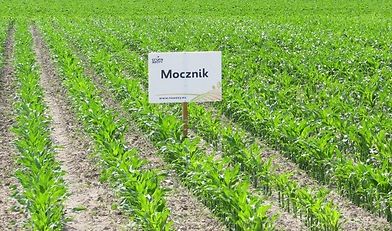 stosowanie nawozów azotowych, nawożenie, KRIR, Lech Kołakowski