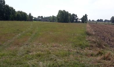 lubelska izba rolnicza, lir, czynsz dzierżawny, państwowa ziemia, kowr