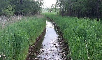 melioracja, woda dla rolnictwa, ustawa covidowa, ministerstwo infrastruktury