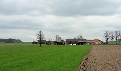 izby rolnicze, Grupa Wyszehradzka, wojna w Ukrainie, bezpieczeństwo żywnościowe