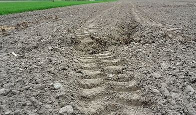 dzierżawa ziemi, sprzedaż ziemi, ceny ziemi, badanie "Polska wieś i rolnictwo"