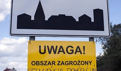 ASF, trzoda chlewna, świnie, dziki, szczepionka na ASF, afrykański pomór świń