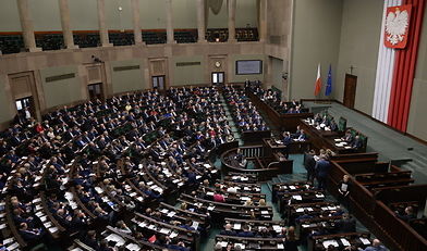 ustawa o ochronie zwierząt, Kodeks karny, sejm, znęcanie się nad zwierzętami, przepadek zwierząt, patryk jaki
