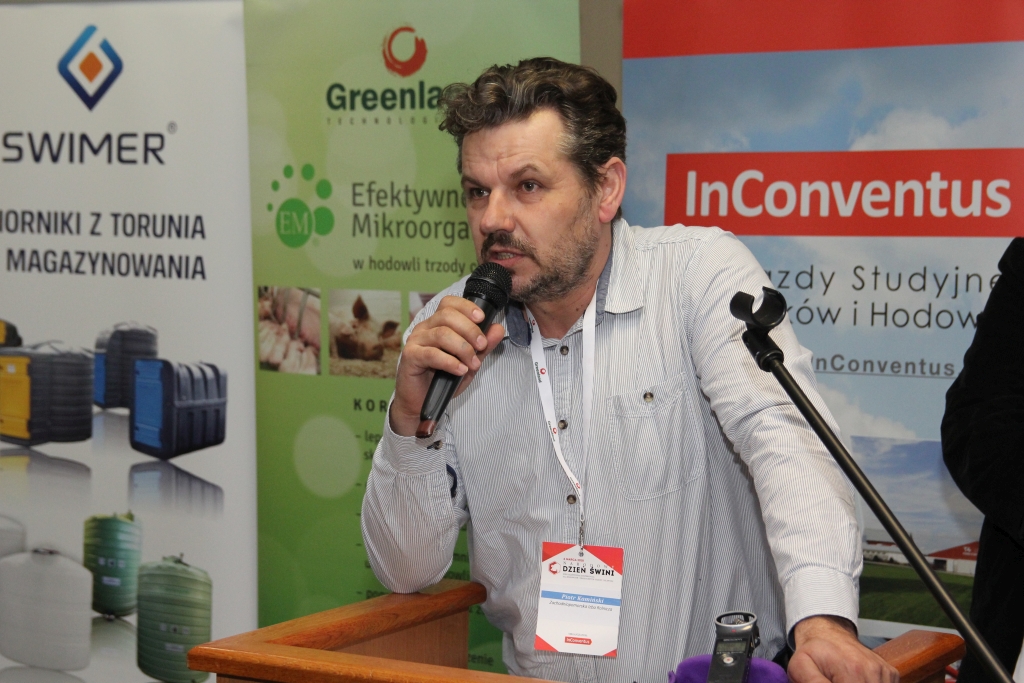narodowy dzień świni, ASF, bioasekuracja, trzoda chlewna