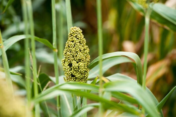fot. Tytus Żmijewski