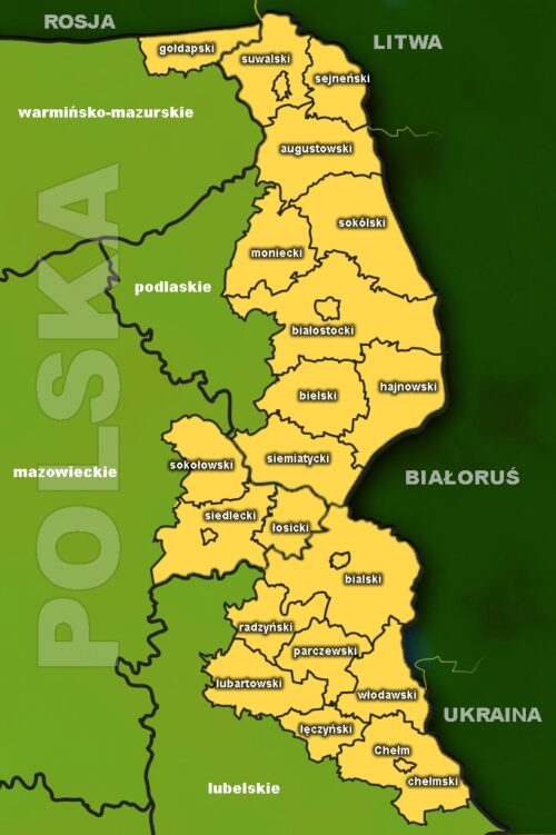 infografika Dariusz Przywitowski