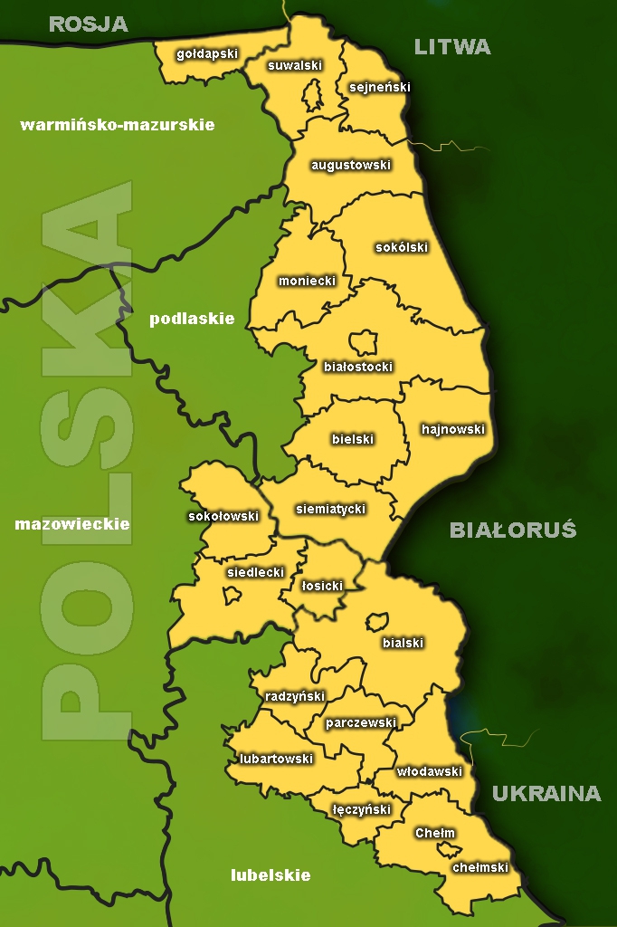 infografika Dariusz Przywitowski