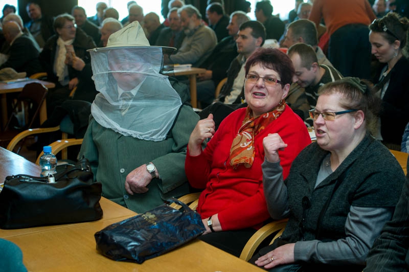 Ule na balkonie, miejska hodowla pszczół, włochy, mediolan