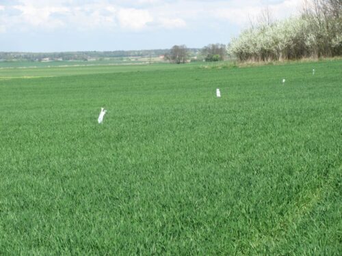ubezpieczenie upraw, ubezpieczenie zwierząt gospodarskich, concordia ubezpieczenia