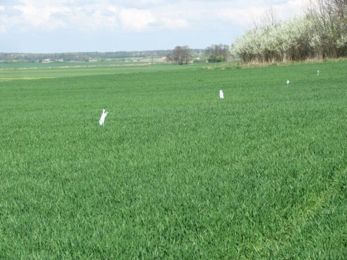 ubezpieczenie upraw, ubezpieczenie zwierząt gospodarskich, concordia ubezpieczenia
