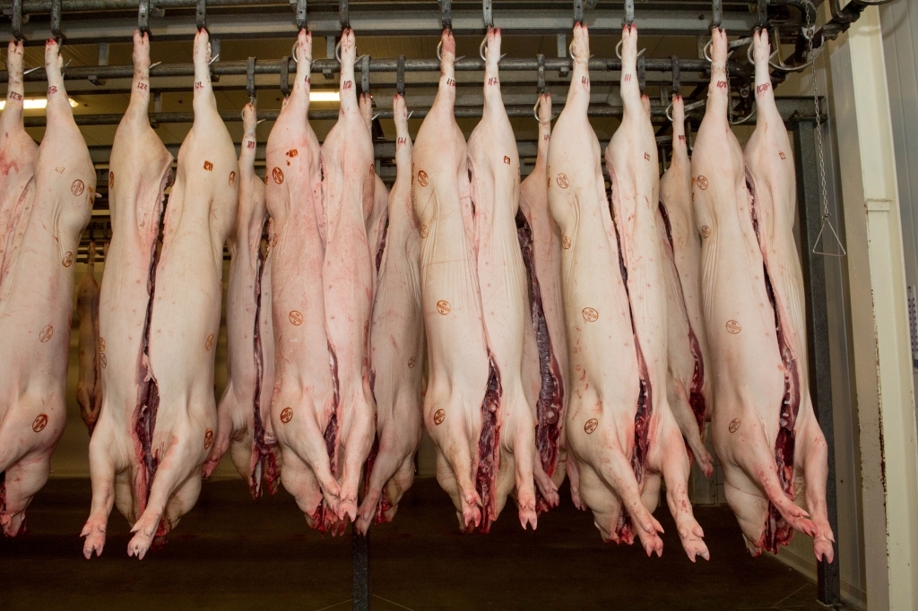 eksport produktów rolno-spożywczych, unia europejska, handel mięsem