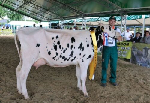Fot. Tytus Żmijewski
