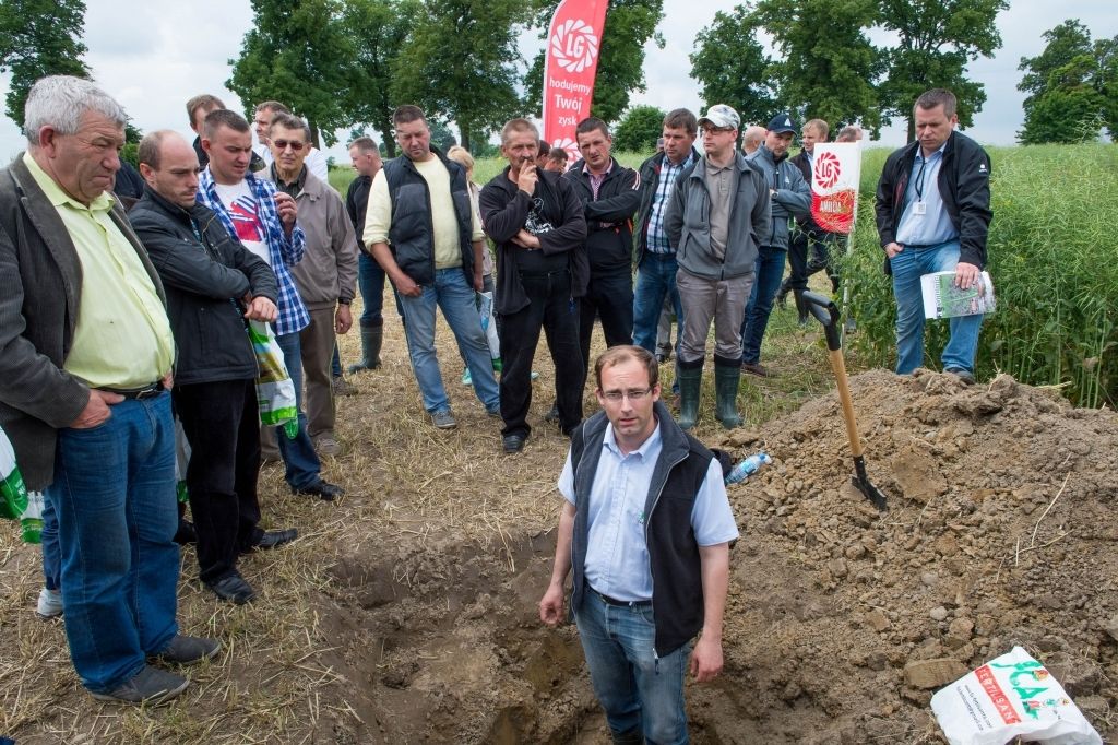 Liga Mistrzów Plonowania PROCAM, pszenica, rzepak, kukurydza-ziarno, kukurydza-kiszonka