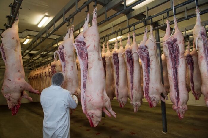 ttip, norwegia, stawki celne na mięso, Norweski Instytut Spraw Międzynarodowych