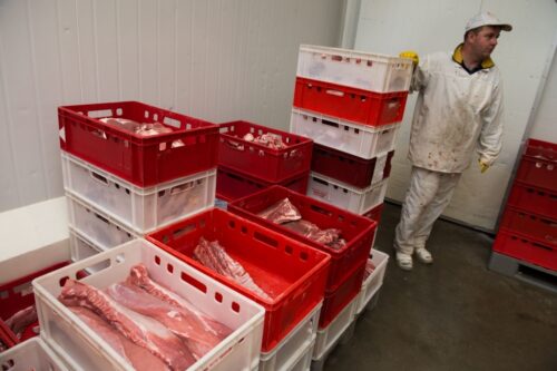 wieprzowina, eksport, kanada, usa, eksport wieprzowiny