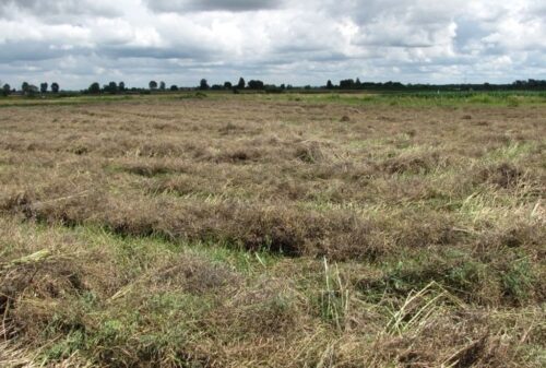 Kasa Rolniczego Ubezpieczenia Społecznego, Fundusz Składkowy Ubezpieczenia Społecznego Rolników, Artur Brzósko