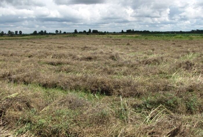 Kasa Rolniczego Ubezpieczenia Społecznego, Fundusz Składkowy Ubezpieczenia Społecznego Rolników, Artur Brzósko