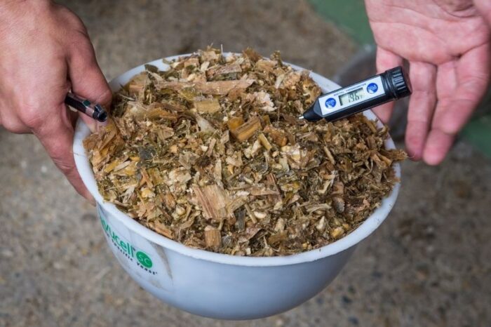 kiszonka, kukurydza, silos, przechowywanie