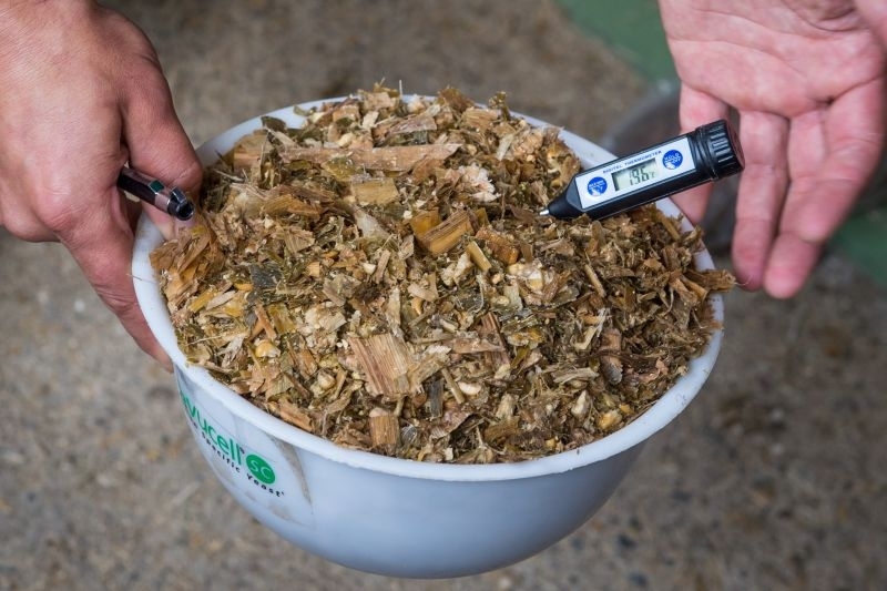 kiszonka, kukurydza, silos, przechowywanie