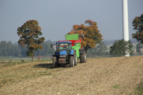 zbiory zbóż, eksport zbóż, import zbóż, zboża, pszenica, kukurydza, żyto