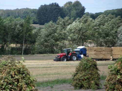 biomasa, pozostałościz produkcji rolnej, Ireneusz Zyska, MKiŚ