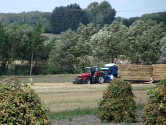 biomasa, pozostałościz produkcji rolnej, Ireneusz Zyska, MKiŚ