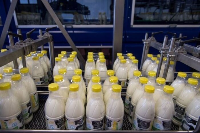 Spółdzielna Mleczarskiej Mlekpol, grajewo, Dobra Marka 2015, marka łaciate