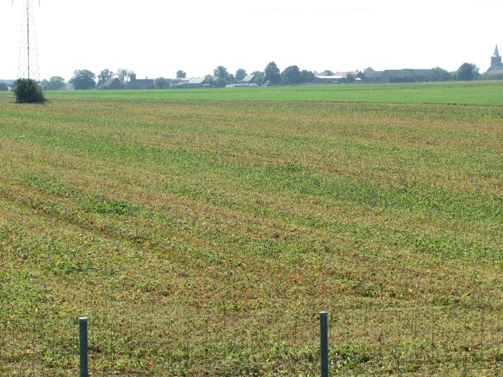 ubezpieczenia rolne, ubezpieczenie upraw, ubezpieczenie zwierząt, wiktor szmulewicz, krir