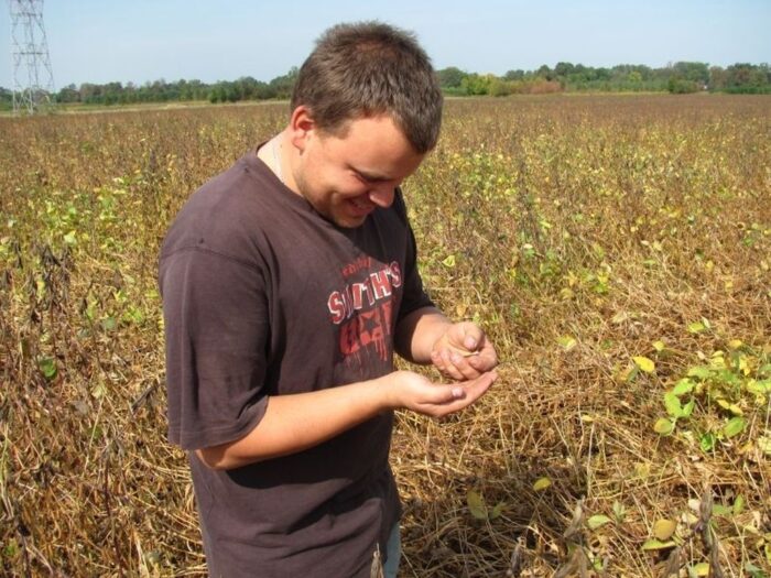 strączkowe, uprawa zbóż,