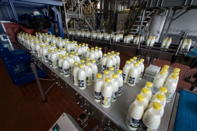 raport Zmiany preferencji Polaków w zakresie konsumpcji żywności, dariusz winek, Bank BGŻ BNP Paribas