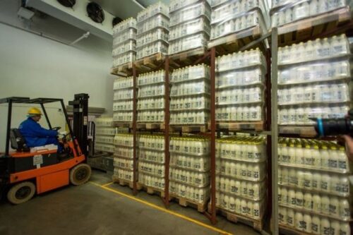 eksport mleka do Chin, produkty mleczarskie