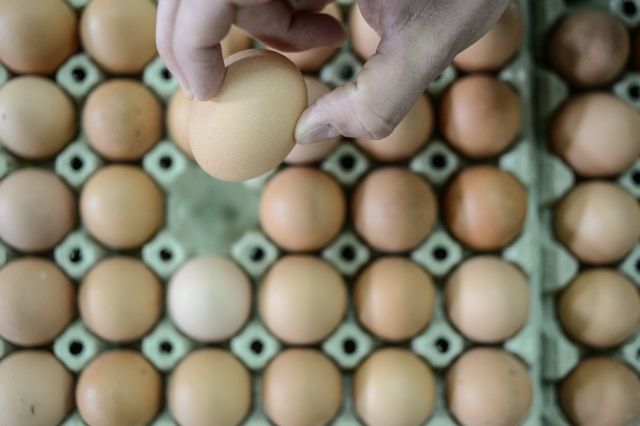 agro-park, lublin, targi rolnicze