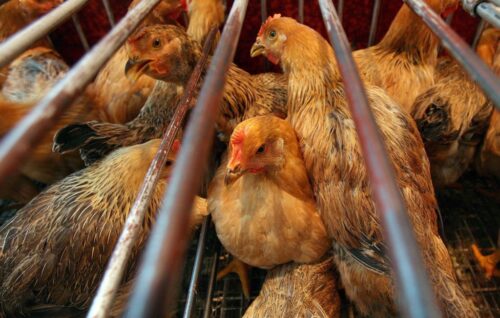 agro-park, lublin, targi rolnicze