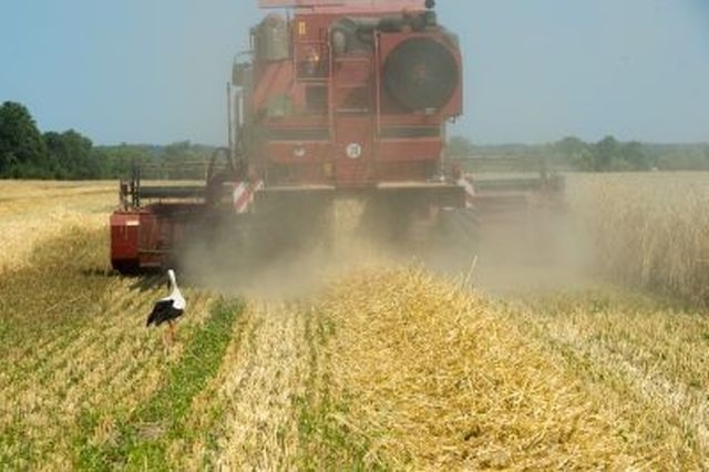 arimr, przetargi z obszaru it, sebastian jaworski, Security Operation Center, kontrola upraw z satelity