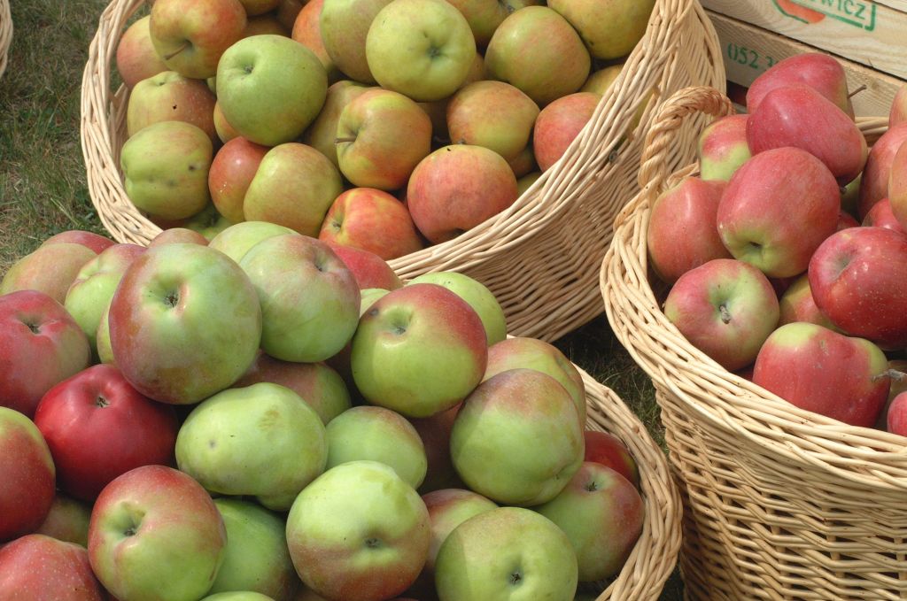 produkcja cydru, janusz piechociński, ustawa winiarska