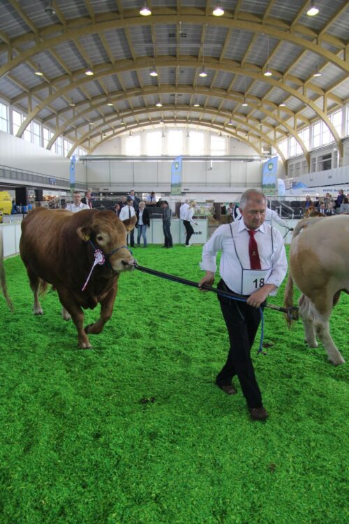 kwzh, bydło mleczne, bydło mięsne, hodowcy