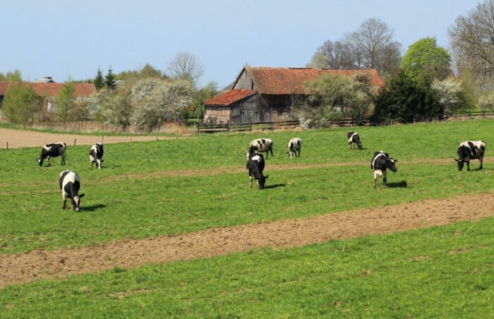 pakt dla wsi, ryszard zarudzki, ministerstwo rolnictwa, ministerstwo rozwoju