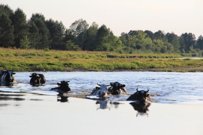 prawo wodne, stawki opłat za wodę, mariusz gajda, ministerstwo środowiska