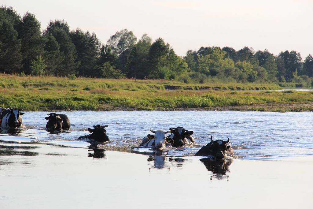 prawo wodne, stawki opłat za wodę, mariusz gajda, ministerstwo środowiska