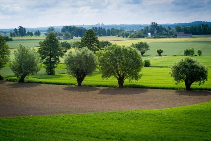 Sprzedaż państwowych gruntów, sprzedaż ziemi, dzierżawa ziemi