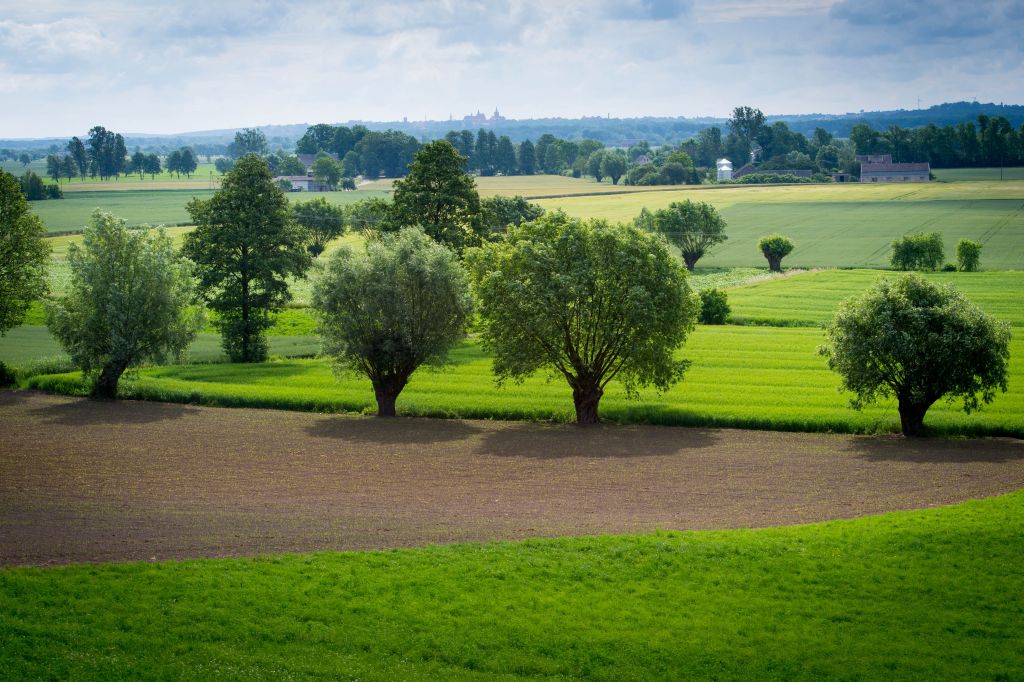 Sprzedaż państwowych gruntów, sprzedaż ziemi, dzierżawa ziemi