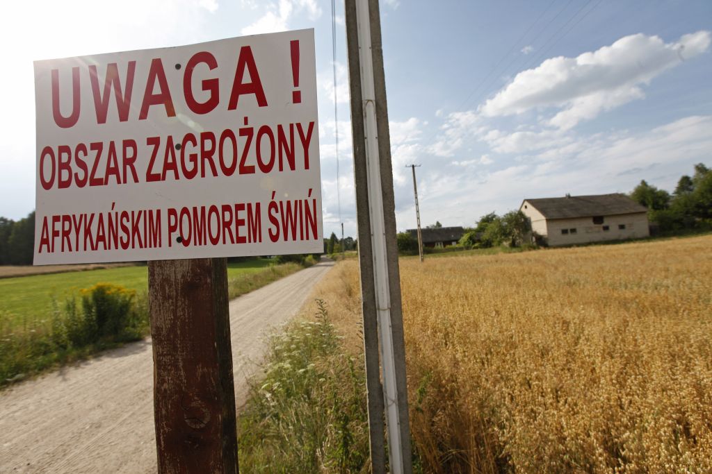 program bioasekuracji, trzoda chlewna, podlasie