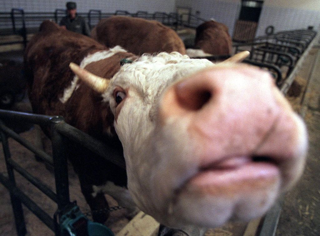 agro-park, lublin, targi rolnicze