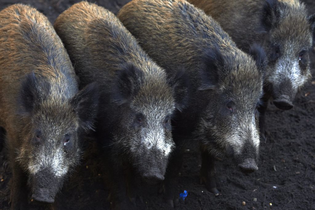 agro-park, lublin, targi rolnicze