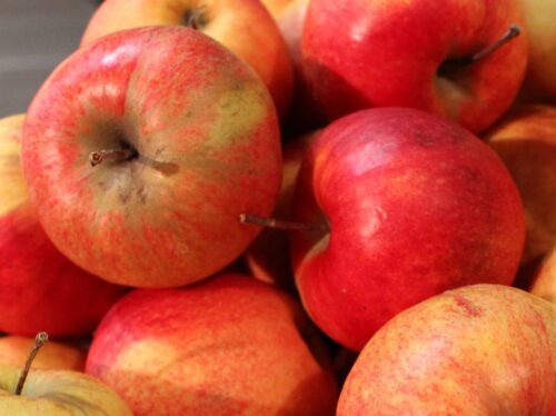 Rosja była największym odbiorcą polskich jabłek, a rynek krajowy nie był w stanie wchłonąć tak dużej ilości owoców