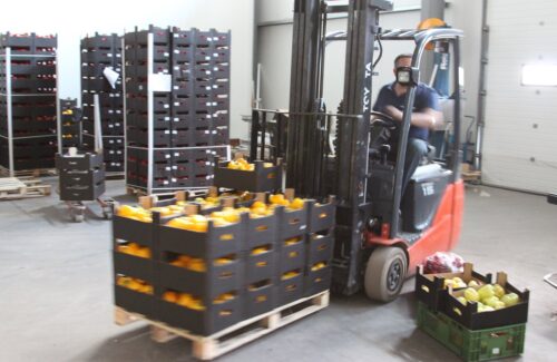 Embargo uderzyło przede wszystkim w polskich producentów owoców i warzyw