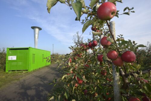 Polska przedstawia się w Rzymie m.in. jako kraj jabłek.