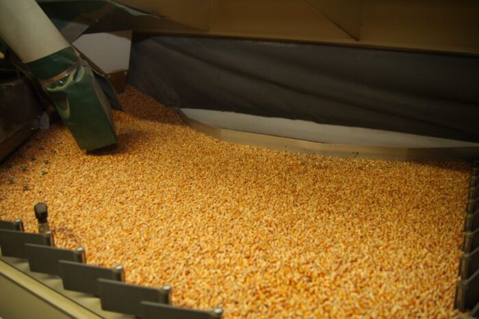 kukurydza_notowania_ceny_gielda_euronext