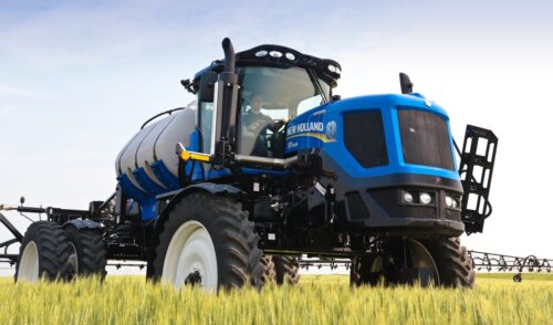 zbiory zbóż, eksport zbóż, import zbóż, zboża, pszenica, kukurydza, żyto